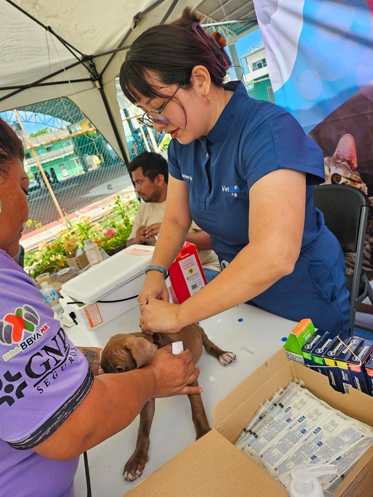 Jornadas veterinarias gratuitas y apoyo social en Ciudad del Carmen por Vet Blue